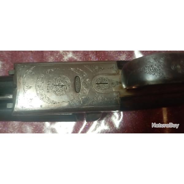 Robust 244 calibre 12