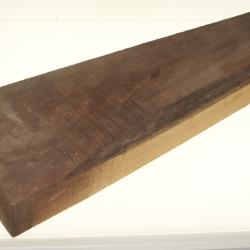 Ebauche 50 cm noyer pour crosse