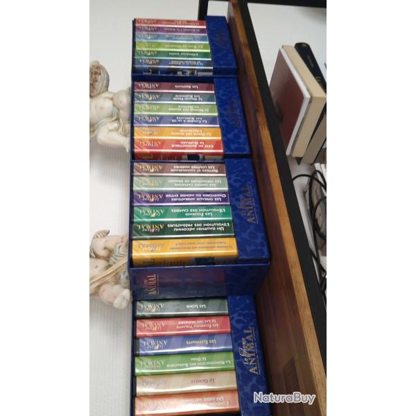 Collection VHS Le regne animal
