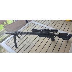 RUGER rimfire 17 Hmr