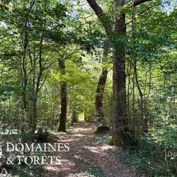 Propri&eacute;t&eacute; Foresti&egrave;re d'environ 62 Hectares dans le Loir-et-Cher DF-2017-A