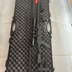 Carabine ruger pr&eacute;cision 22lr