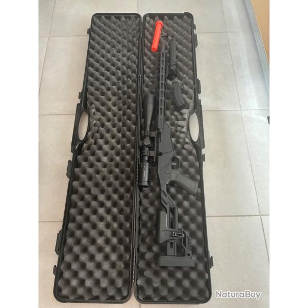 Carabine ruger pr�cision 22lr