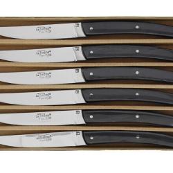 COFFRET 6 COUTEAUX LE THIERS BJB noir