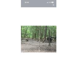 Recherche actionnaires gros gibier r&eacute;gion Corbeil (91)