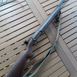 Carabine BSA Century 22lr pour le TAR