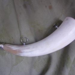 trompe d'appel corne naturelle Elless  26,5 cm