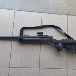 Fusil chasse rossi pomba