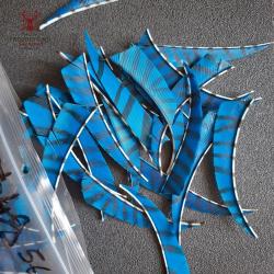 Lot 12 plumes 4" bleues z&eacute;br&eacute;es shield d'occasion