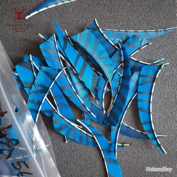 Lot 12 plumes 4" bleues z�br�es shield d'occasion