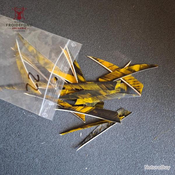 Lot 22 plumes jaune shield 4" - occasion