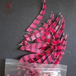 Plumes Paraboliques ray&eacute;es 5" d'occasion par 12 - Rose