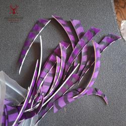 Plumes Shield ray&eacute;es 5" d'occasion par 12 - Rose