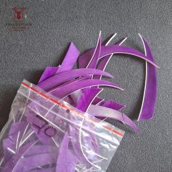 Plumes Shield unies 5" d'occasion par 12 - Violet
