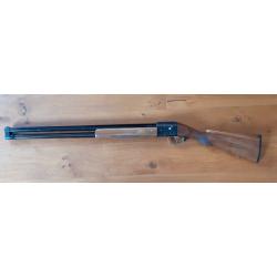 Baby bretton calibre 12 ray&eacute;