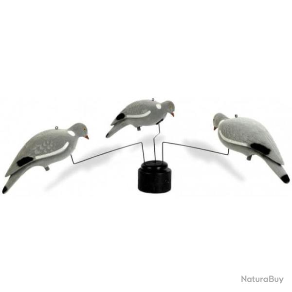 Man�ge � pigeon Stepland