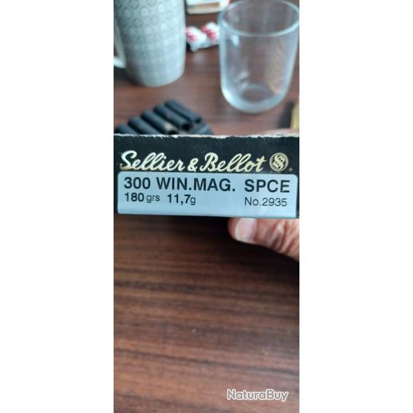 Balles 300 wm
