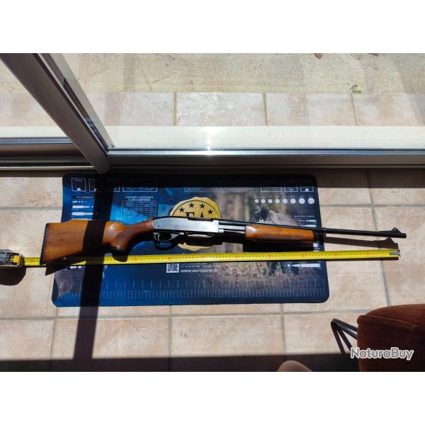 Remington 7600 bois pompe