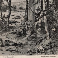 carte  postale   militaria  -    allemands dissimul&eacute;s  dans les arbres  et abattus