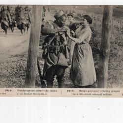 carte  postale   militaria   vendangeuse  offrant du raisin a un bl&eacute;ss&eacute;  s&eacute;n&eacute;galais