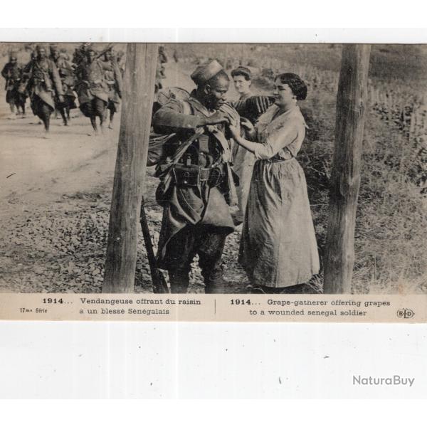carte  postale   militaria   vendangeuse  offrant du raisin a un bl�ss�  s�n�galais