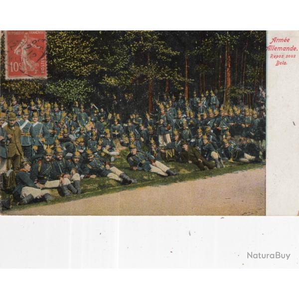 carte  postale   militaria     arm�e allemande  repos  sous bois