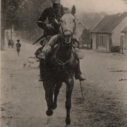 carte  postale   militaria     cavalier belge  cit&eacute; plusieurs fois