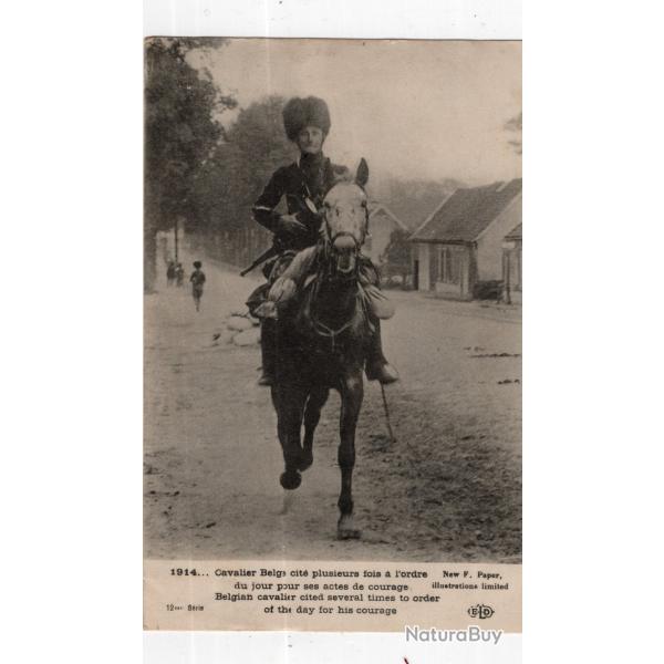 carte  postale   militaria     cavalier belge  cit� plusieurs fois