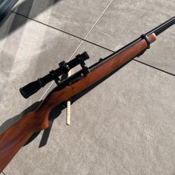 Ruger 10/22 bois - 22LR - tr&egrave;s bon &eacute;tat - 3 chargeurs
