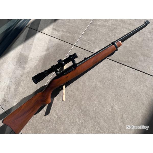 Ruger 10/22 bois - 22LR - tr�s bon �tat - 3 chargeurs