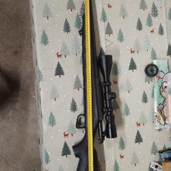 Carabine remington