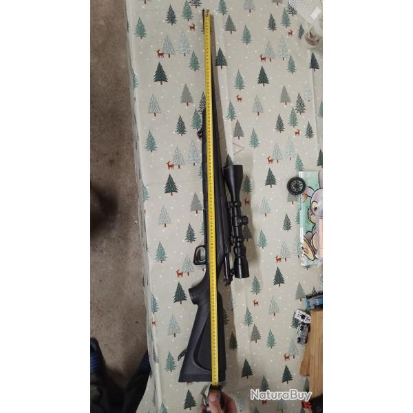 Carabine remington