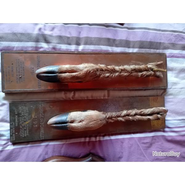 Troph�e,  pied d honneurs de cerf