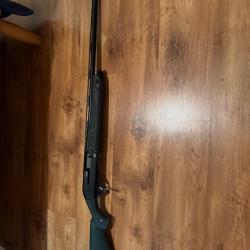 winchester sx4