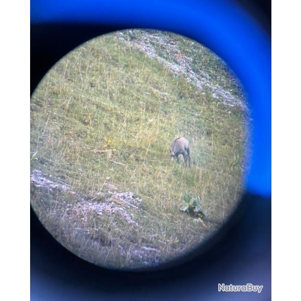 cherche part chasse du week-end avec cervid�s