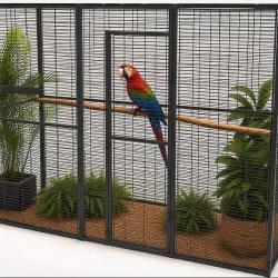 Voli&egrave;re panoramique 3x1x2m cage perroquet amazon eclectus youyou voli&egrave;re gris du gabon