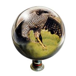 Boule miroir anti-rapace