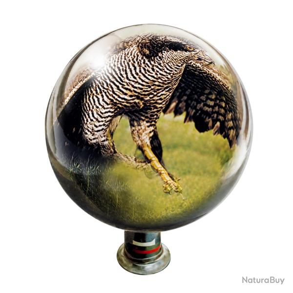 Boule miroir anti-rapace