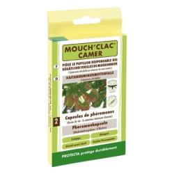 Piege mouch'clac camer marronnier