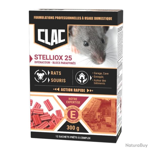 Blocs raticide