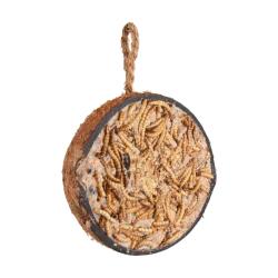 Demi noix de coco