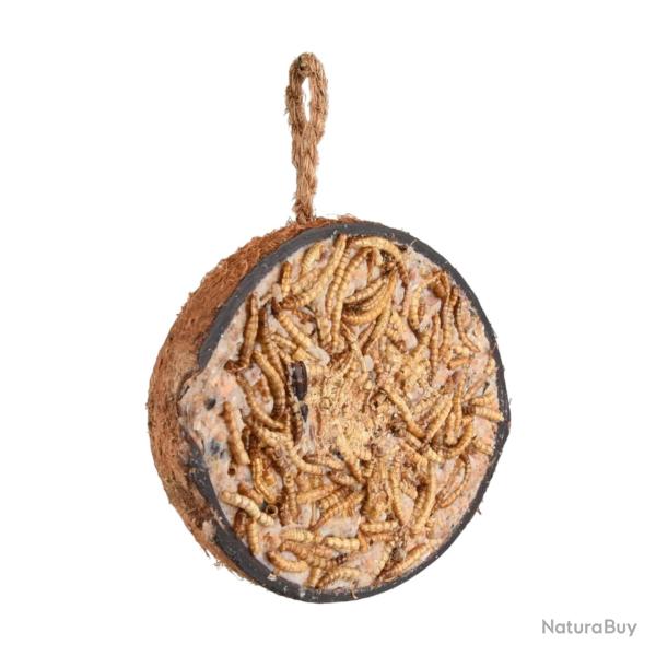 Demi noix de coco