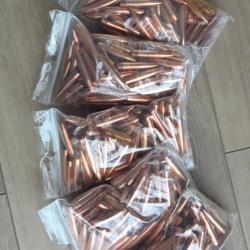 Ogives Lapua - 500 Projectiles Cal 6,5 - 139 grs Scenar - GB458 - 4PL6018