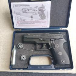 Reck police p226