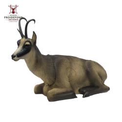 Chamois VSE &eacute;t&eacute; couch&eacute; Cible 3D - SRT