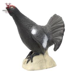 T&eacute;tras lyre Cible 3D - SRT