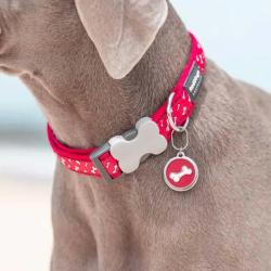 M&eacute;daille gravable pour chien - &Oslash; 3cm - Acier inoxydable