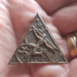 INSIGNE CEAM MONT DE MARSAN