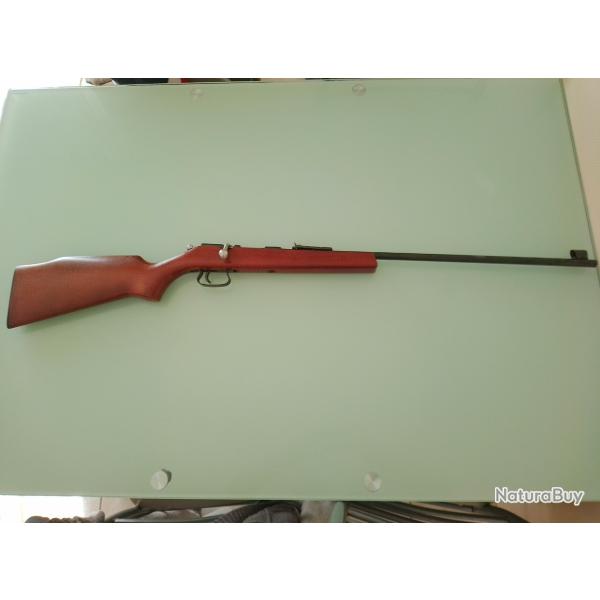 Carabine manu arm 22lr