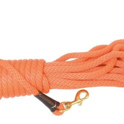 DESTOCKAGE ! Longe Country Orange D'Entrainement Pour Chien 9 M&egrave;tres